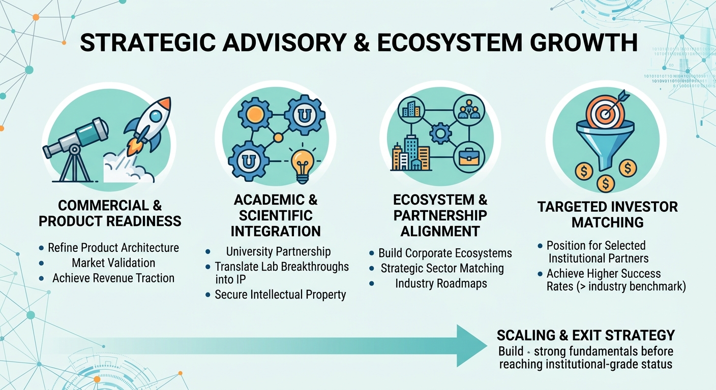 Strategic Advisory Beyond Traditional Venture Capital for Scale-Ups and Research Spin-Outs Panama